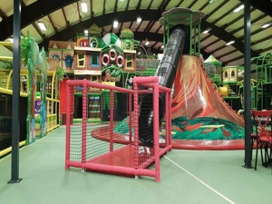 Кейс успеха Васи - Германия