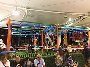 Веревочный курс на Филиппинах