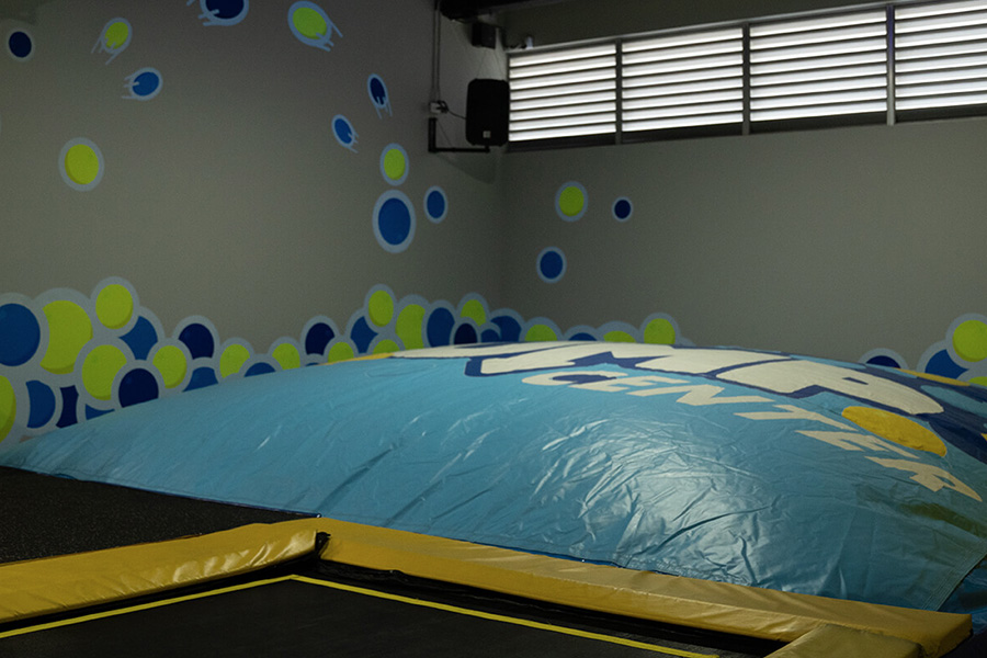 3_0003_подушка безопасности