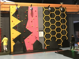 Дело о развитии взрослых в Наньтуне